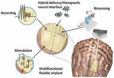 Interfacing Graphene-Based Materials With Neural Cells